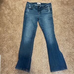 BKE Payton Mid Rise Bootcut Women’s Jeans